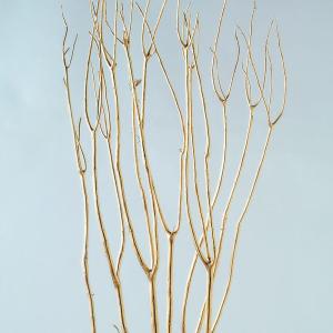 ミツマタ 三又 ドライフラワー ゴールド 金 ...の詳細画像2