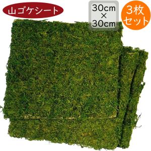 天然素材 人工芝 人気 おしゃれ マット リアル おすすめ 人工芝生 diy 観葉植物 造花 インテリアグリーン 床 壁面 モスマット 苔 コケ ドライ 口30cm 3枚セット
