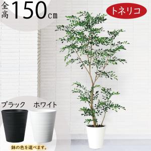 植木鉢 大型 おしゃれ 人気 プランター ブラック 黒 観葉植物 園芸用品