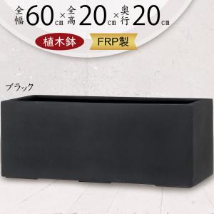 日限定07 直送 グリーンポット モードライト キューブ 55cm EB