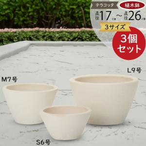 大きい ビンテージ 大型 アンティーク 陶器 植木鉢 プランター 鉢