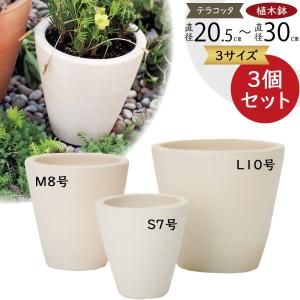 植木鉢 テラコッタ おしゃれ 大型 モスポット 人気 おすすめ