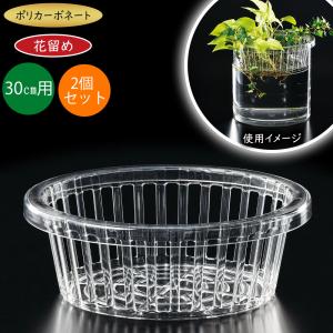 剣山 アクリル製 花留め 国産品 おしゃれ 吸盤付き 生け花 花挿し 人気