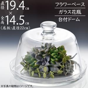 ガラス花瓶 おしゃれ 人気 おすすめ フラワーベース キューブ 四角