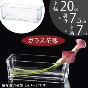 ガラス　花瓶　キューブ　16個　フラワーベース ガラス 花瓶 キューブ 16個 フラワーベース