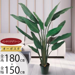 神戸花物語 フェイクグリーン 観葉植物 人工観葉 大型 光触媒 神戸花物語 フェイクグリーン 観葉植物 人工観葉 大型 光触媒