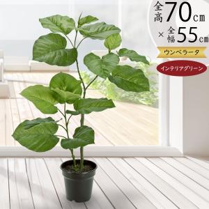 観葉植物 おしゃれ 大型 インテリアグリーン フェイク インディアン
