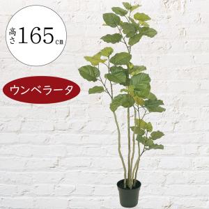 ウンベラータ 人気 おしゃれ 観葉植物 インテリアグリーン フェイクグリーン 造花 人工観葉 おすすめ リアル インテリア 人工樹木 オブジェ 大きい 大きめ 165cm｜keishin