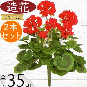 光の楽園(2025年版) フレッシュスキンダプサス1.1 品番：2239K360 高さ