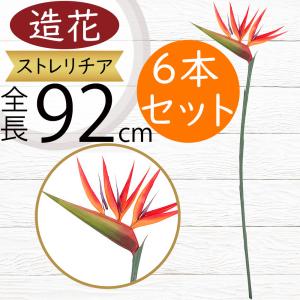 極楽鳥花の商品一覧 通販 Yahoo ショッピング
