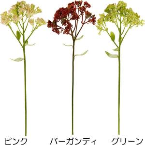 セダム 花 ピンク 花 ガーデニング の商品一覧 通販 Yahoo ショッピング