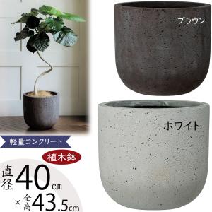 大型プランター コンクリート 円筒形 グレー モルタル オシャレ Amazon.co.jp: BRAGUE ラウンド コンクリート プランター モダン 大型
