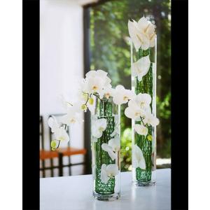 トール シリンダー 透明 硝子 花瓶 花器 クリア トール ガラス花器 花瓶 硝子 円柱型 花入れ 好評 全高80cm 直径14 5cm 花器 フラワーベース 筒形 筒型 アレンジ Gg1107 人工観葉植物と造花の通販ケイシン