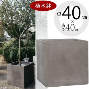 元目大鉢 元目大鉢 zundolow_4gl_top.jpg