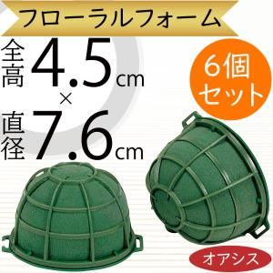 オアシス フローラルフォーム 人気 吸水 スポンジ