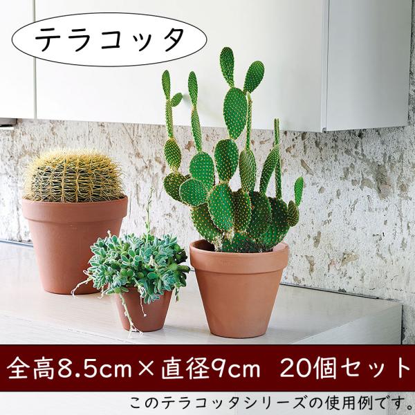 植木鉢 テラコッタ おしゃれ 小型 プランター 観葉植物 人気 おすすめ イタリア製 素焼き 園芸鉢...