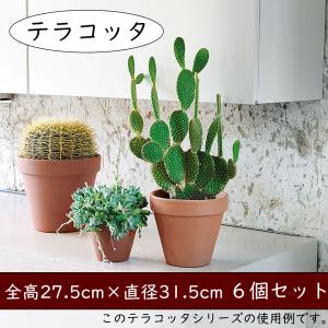 イタリア製 テラコッタ植木鉢 大型 11号 赤土色 イタリアンテラコッタ