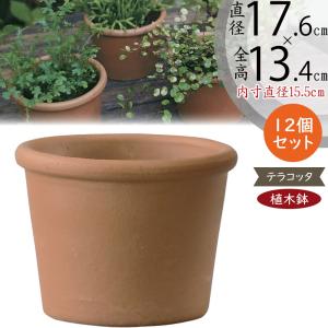 植木鉢 テラコッタ 大型 おしゃれ プランター 人気 おすすめ 観葉植物