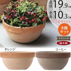 テラコッタ 植木鉢 おしゃれ プランター 人気 おすすめ 観葉植物 園芸