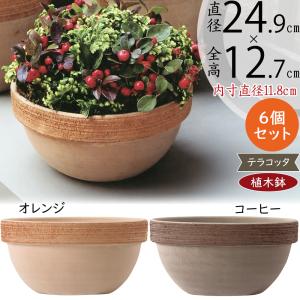 植木鉢 テラコッタ おしゃれ 人気 おすすめ プランター ポット 器