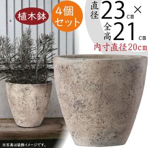 植木鉢 テラコッタ 大型 おしゃれ プランター 人気 おすすめ 観葉植物