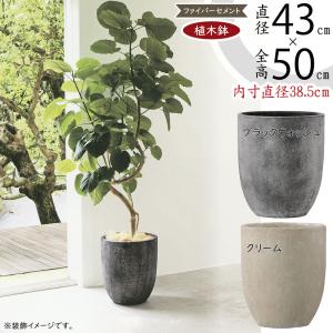 盆栽　鉢　緑巳斉春松　幅76.8cm 特大鉢 緑巳斎春松 幅70cm 【公式通販】 盆栽 鉢 緑巳斉春松