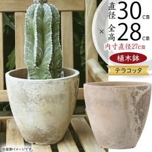 植木鉢 テラコッタ おしゃれ 大型 モスポット 人気 おすすめ