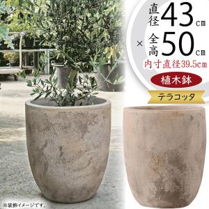 植木鉢 テラコッタ 大型 おしゃれ プランター 人気 おすすめ 素焼き