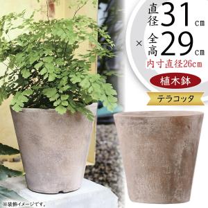 植木鉢 テラコッタ おしゃれ プランター 観葉植物 人気 おすすめ