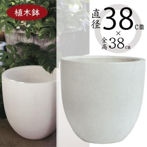 茶道具 花入 掛用 竹筒花入 若竹 柳掛 大 約32.5cm 掛け花入 掛花入 掛