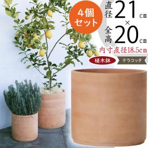 植木鉢✳︎テラコッタポット✳︎陶器✳︎観葉植物プランター多肉 プランター アニマルテラコッタポット ウサギ 3号 （ 植木鉢