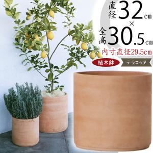 植木鉢 テラコッタ 大型 おしゃれ 人気 おすすめ プランター ポット 器