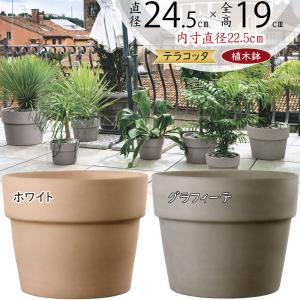 植木鉢 テラコッタ おしゃれ 人気 おすすめ プランター ガーデニング
