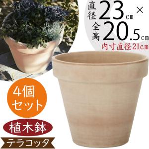 植木鉢 テラコッタ 大型 浅鉢 おしゃれ 人気 おすすめ プランター