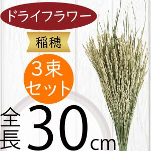 稲穂 花材の商品一覧 通販 Yahoo ショッピング