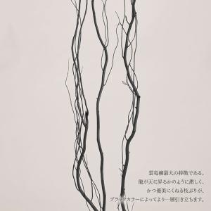 うんりゅう柳 雲竜柳 ドライフラワー おしゃれ...の詳細画像3