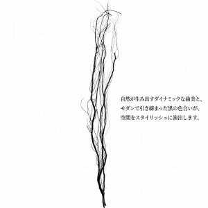 うんりゅう柳 雲竜柳 ドライフラワー おしゃれ...の詳細画像1