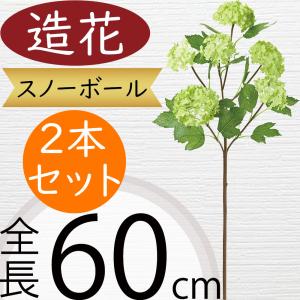 ビバーナム スノーボールの商品一覧 通販 Yahoo ショッピング