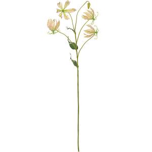 グロリオサ 球根の商品一覧 通販 Yahoo ショッピング