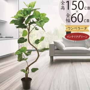 光触媒　人工観葉植物　ウォールグリーン　フェイクグリーン　マダガスカルアーモンド フェイクグリーン 大型 特大 おしゃれ 人気 インテリアグリーン リアル