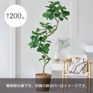 フェイクグリーン おしゃれ 人気 インテリアグリーン リアル 人工観葉