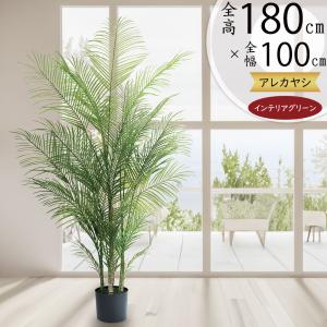 フェニックス 大型 観葉植物 人気 おしゃれ インテリアグリーン
