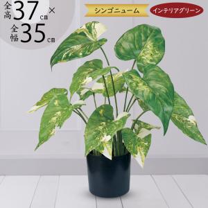 光触媒　人工観葉植物　ウォールグリーン　フェイクグリーン　クワズイモ7758 光触媒 人工観葉植物 ウォールグリーン フェイクグリーン 壁掛け