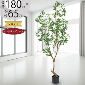 フェイクグリーン 屋外用 大型 人気 アレカヤシ おしゃれ ヤシの木