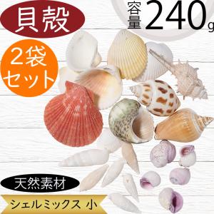 貝殻 詰め合わせ セット インテリア デコレーションに ざる盛り シェル