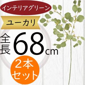 イケア（IKEA） FEJKA/フェイカ 人工観葉植物170 cm ベンジャミン