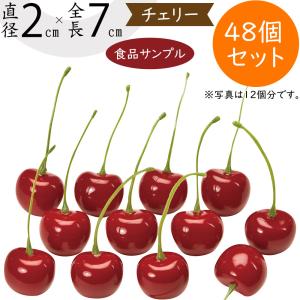 食品サンプル イチジク 造花 人気 いちじく 無花果 リアル フェイク