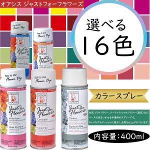 オアシス Just for flowers カラースプレー ブラックチェリー400ml