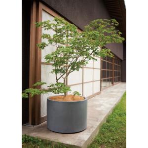 植木鉢 おしゃれ 大型 プランター 観葉植物 ...の詳細画像4