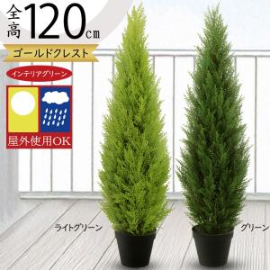 コニファー 種類 花 ガーデニング の商品一覧 通販 Yahoo ショッピング